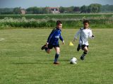 S.K.N.W.K. JO9-1 - Brouwershaven JO9-1 (competitie - 4e fase) (120/140)